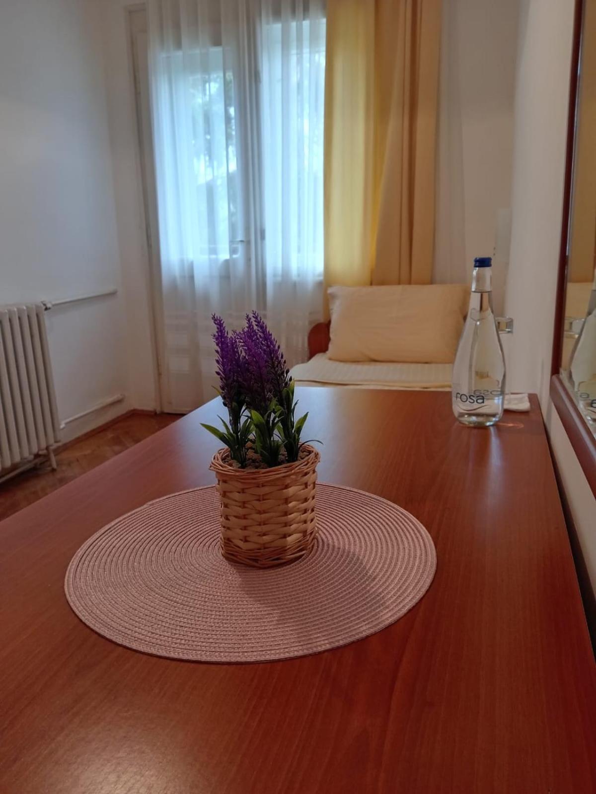 Hotel Vlasina - Vlasinsko Jezero ヴラシナ・リド エクステリア 写真