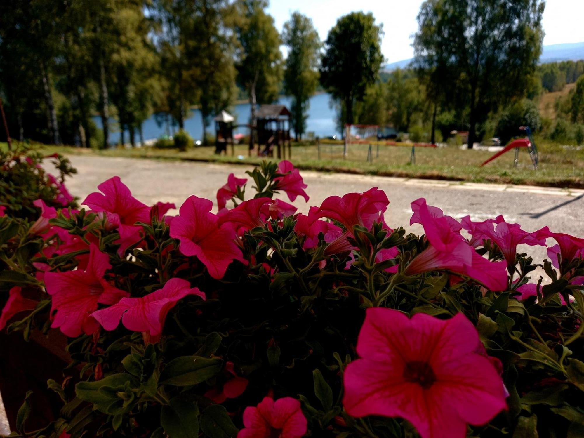 Hotel Vlasina - Vlasinsko Jezero ヴラシナ・リド エクステリア 写真