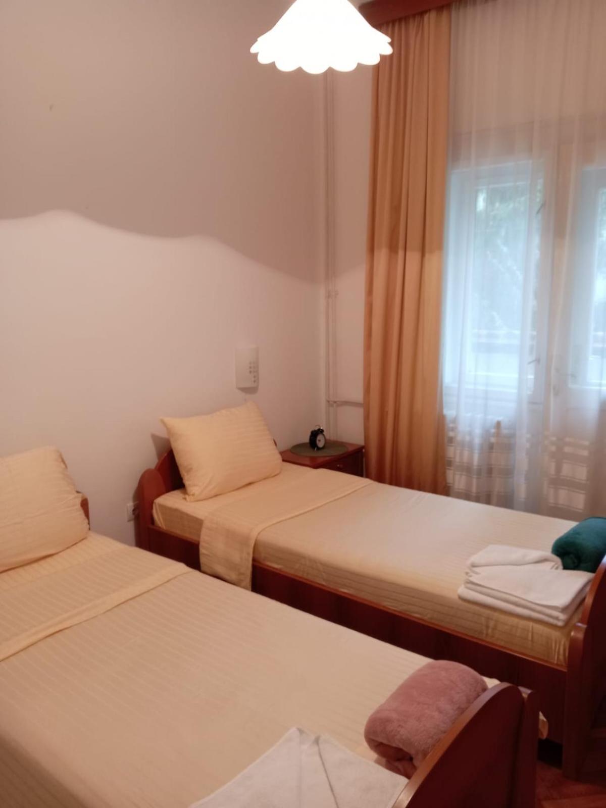 Hotel Vlasina - Vlasinsko Jezero ヴラシナ・リド エクステリア 写真