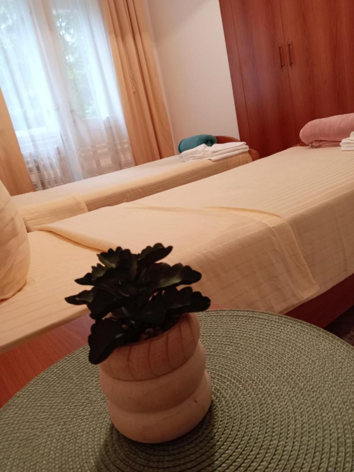 Hotel Vlasina - Vlasinsko Jezero ヴラシナ・リド エクステリア 写真